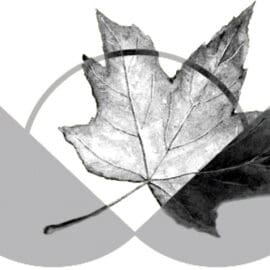msapplication-TileImage
