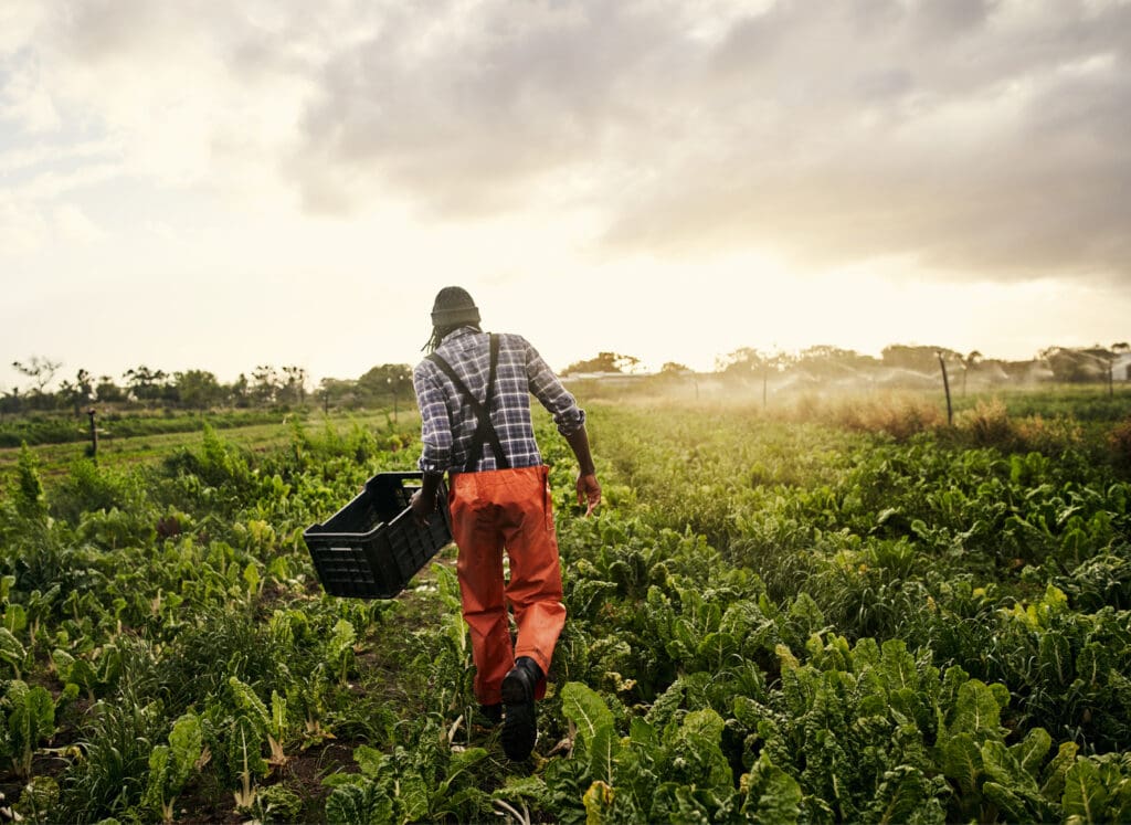 farmer walking through farm