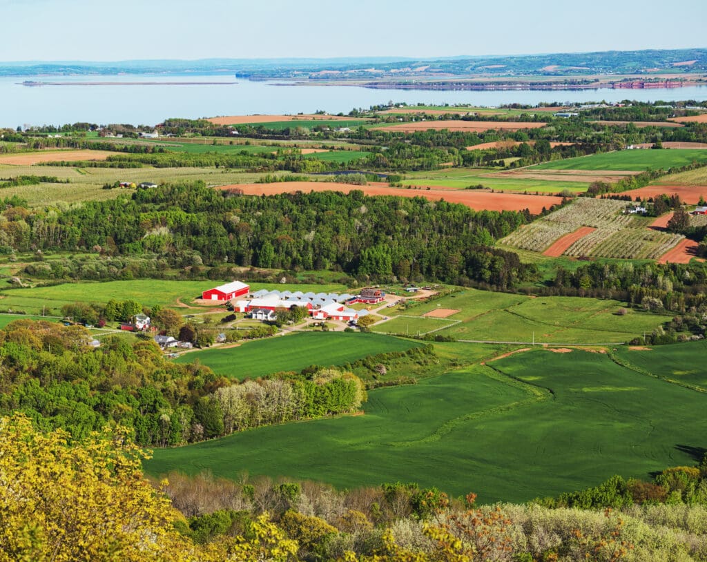 Elevated view of farmlands in the Annapolis Valley.