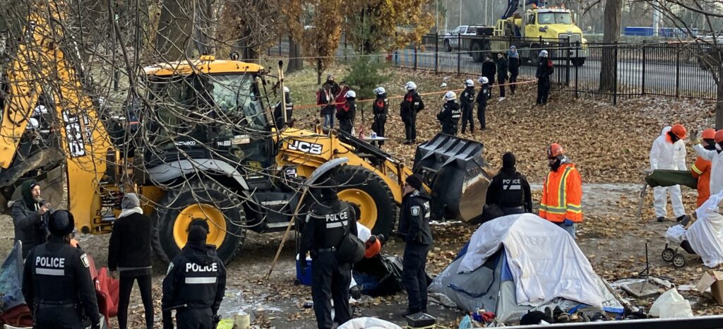 Photo: Changiz M. Varzi