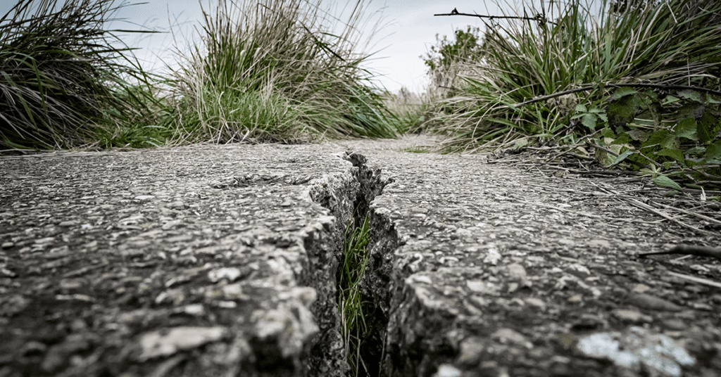 Charm close up in a road