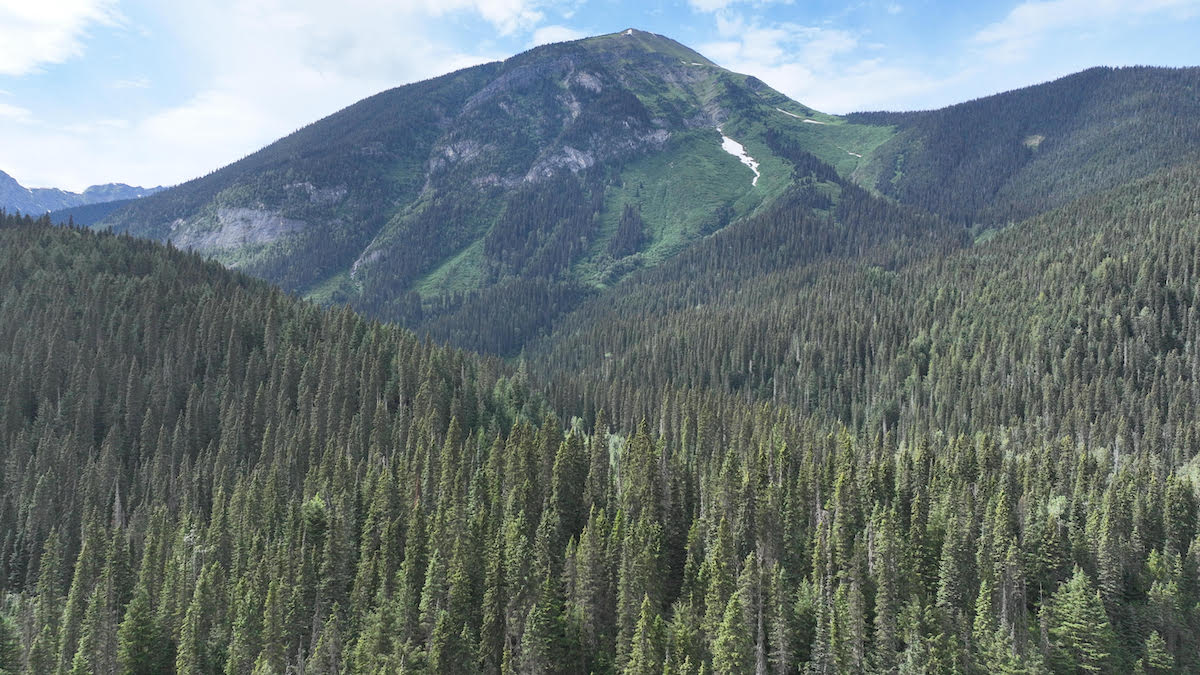 Goat River watershed