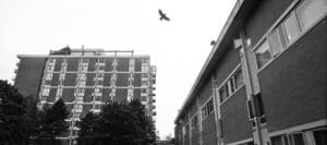 Photo by Goh Iromoto
