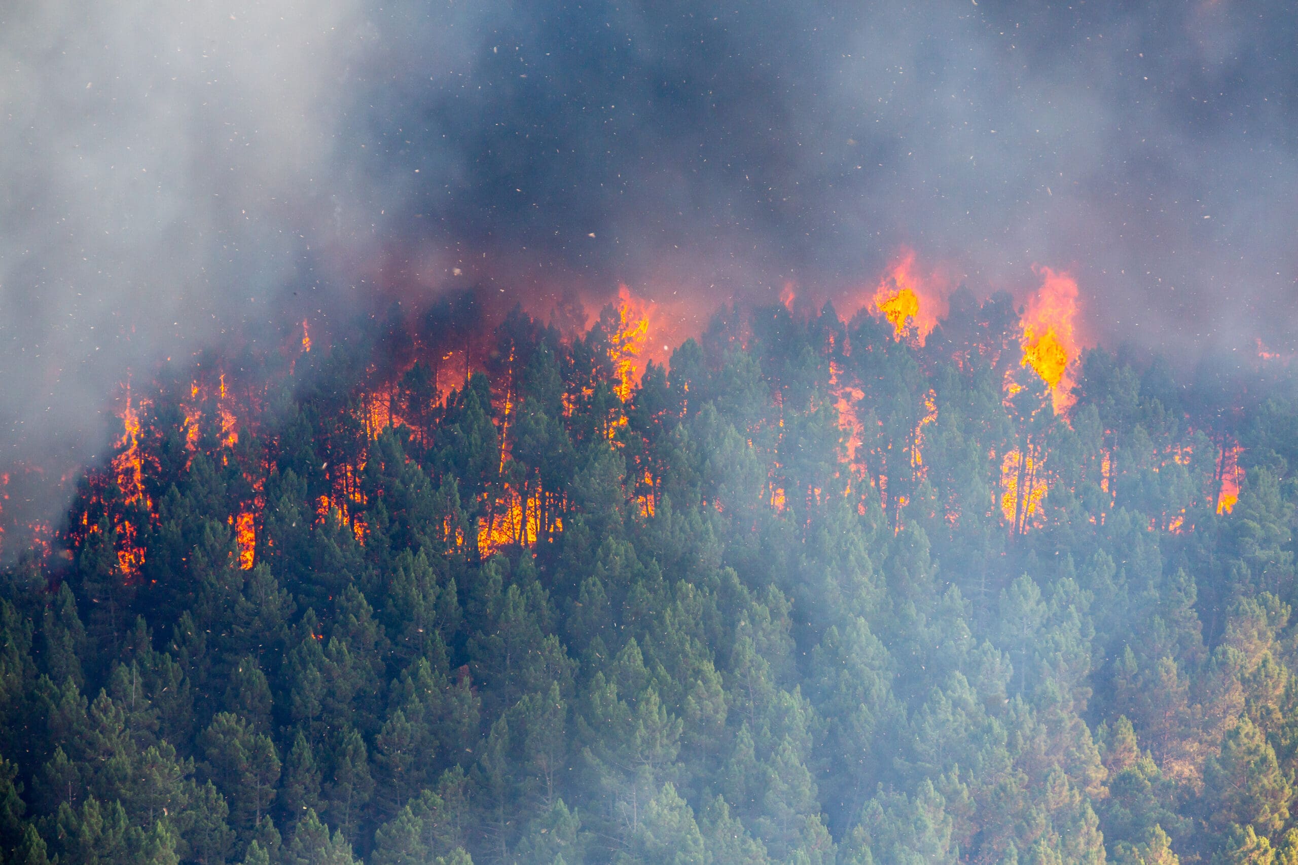 Wildfires