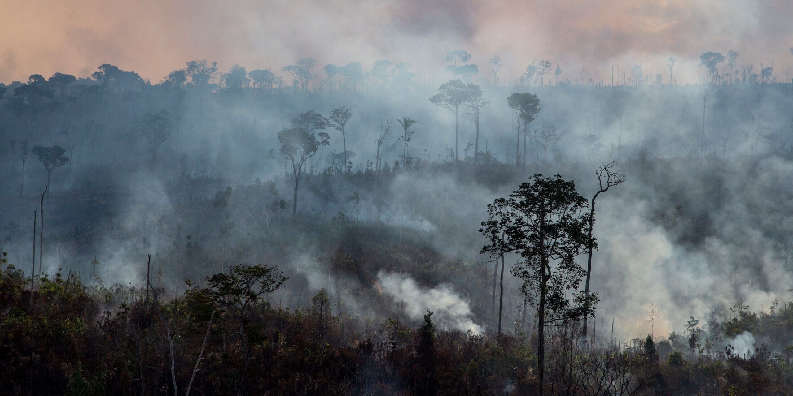 COP30: Canada continues to be a global laggard on climate action