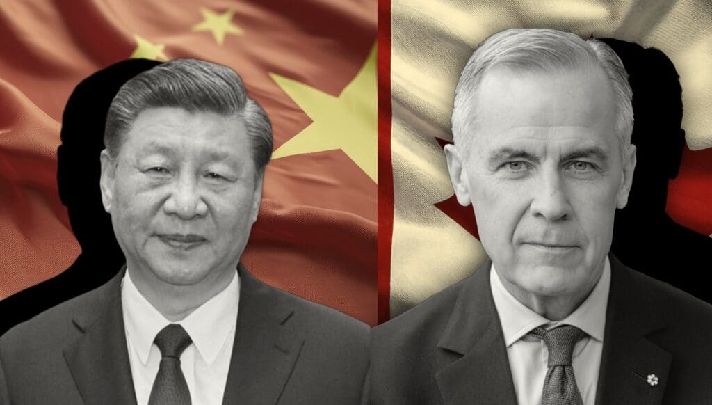 Illustration: Gina Gill