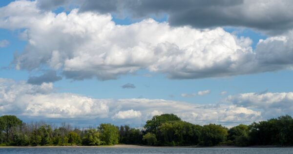 Cloud above a forest